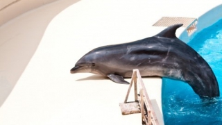 Thumbnail of post image 148