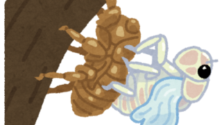 Thumbnail of post image 038